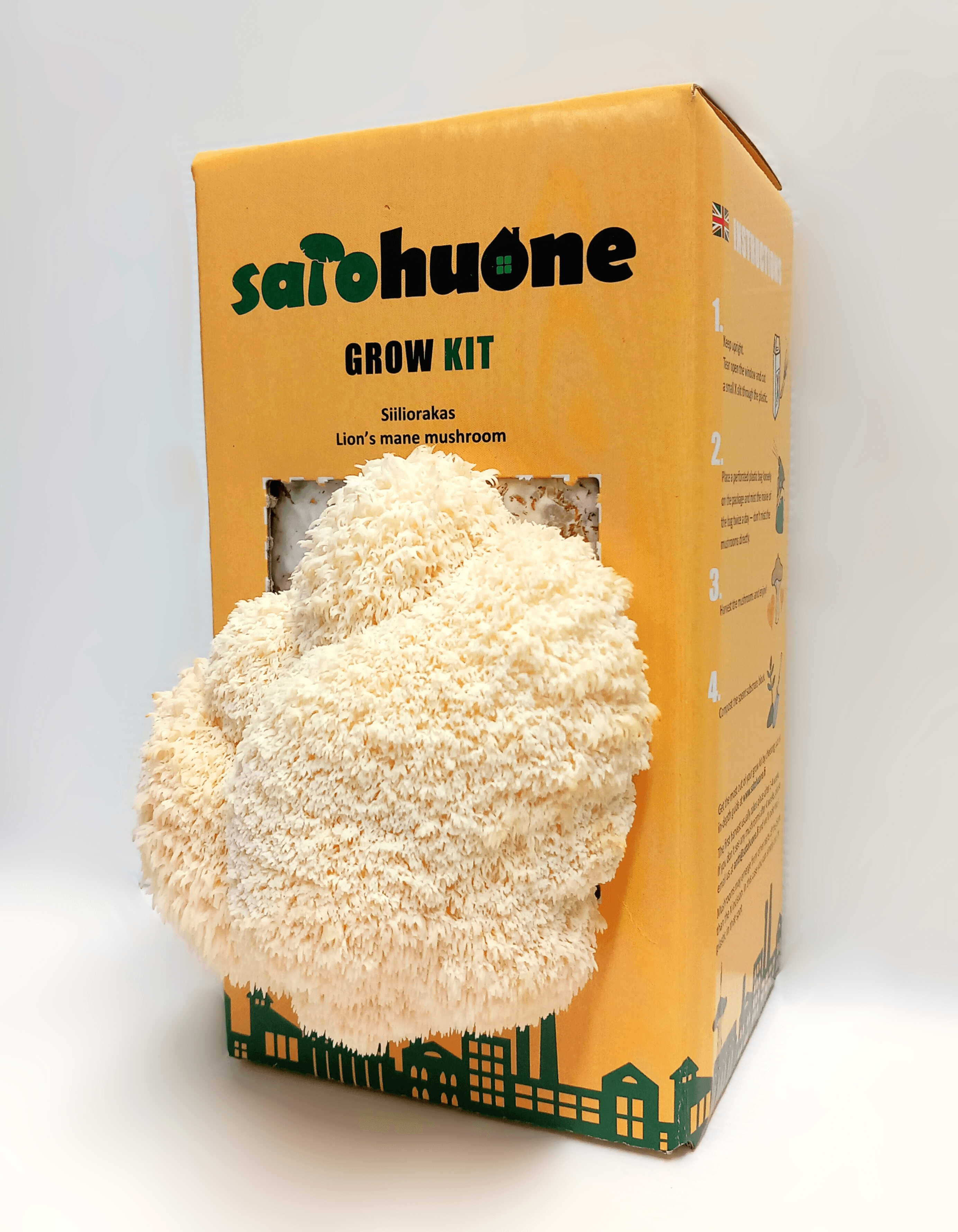 Grow Kit Siiliorakas