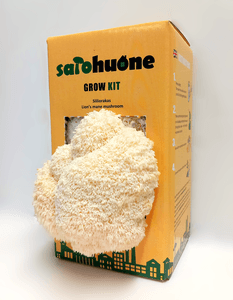 Grow Kit Siiliorakas